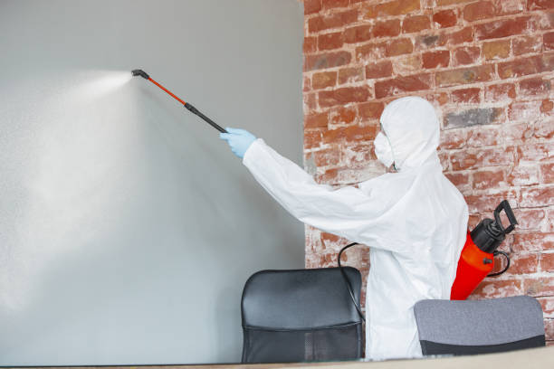 Best HVAC Mold Inspection and Cleaning  in Cleveland, TN