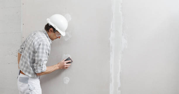 Best Real Estate Mold Inspection  in Cleveland, TN