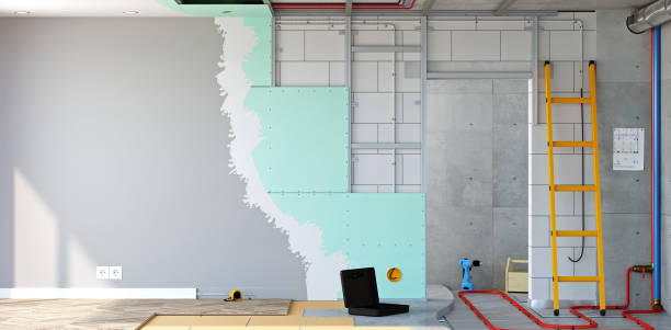 Best Mold Damage Restoration  in Cleveland, TN