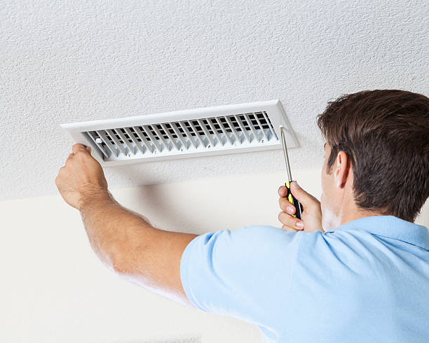  Cleveland, TN Mold Removal Pros