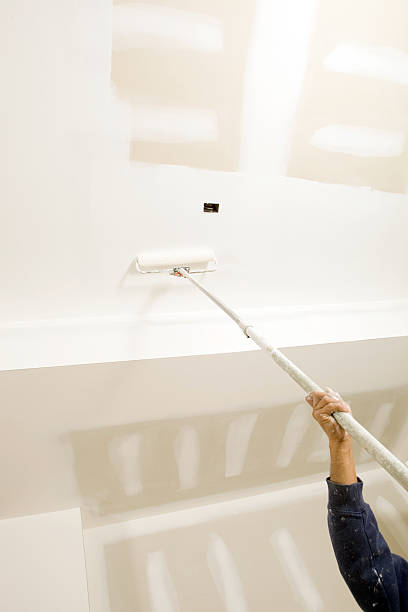 Best Attic Mold Removal  in Cleveland, TN
