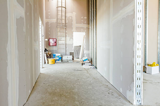 Best Environmental Consulting for Mold Prevention  in Cleveland, TN