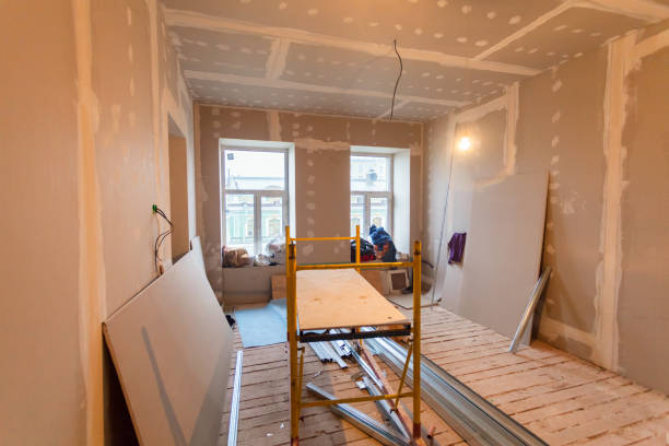 Best Mold Documentation for Insurance Claims  in Cleveland, TN