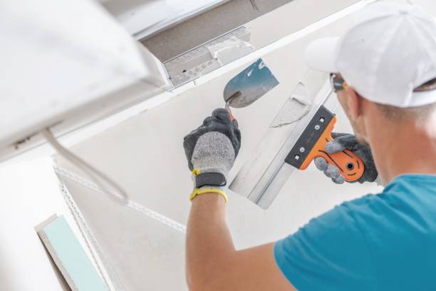 Reliable Cleveland, TN Mold Removal Solutions